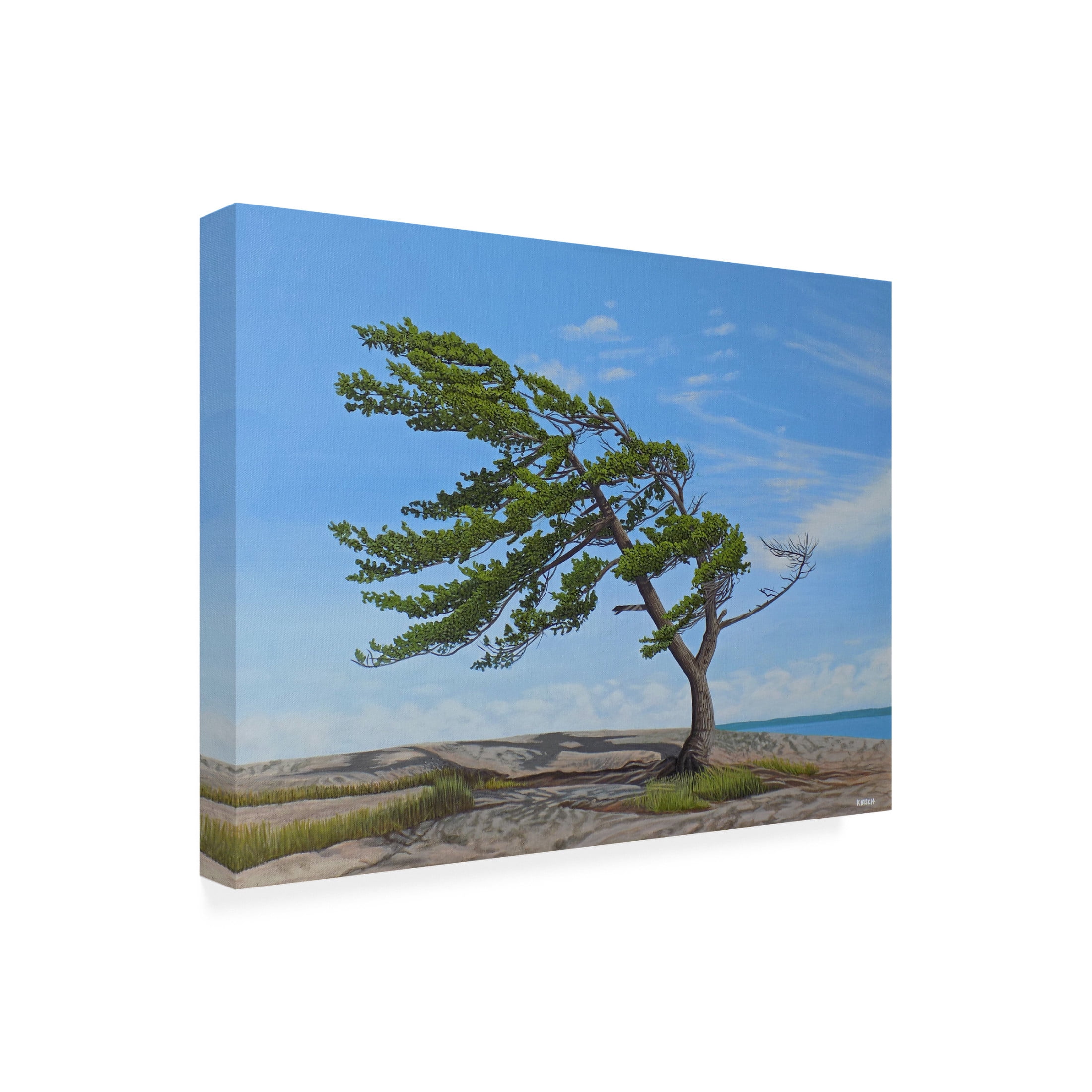 Canvas Wall Art - Kenneth M Kirsch 'Summer Wind 2018' Wall Art for Living Room, Bedroom, or Office Décor by Trademark Fine Art - 24 x 18 Inches