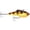 Gold Chrome Tiger, variant on Rapala Rippin' Blade 07 Fishing Lure Gold