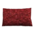 thumbnail image 1 of Ahgly Company Indoor Rectangular Contemporary Lumbar Throw Pillow, 13 inch by 19 inch, 1 of 5