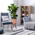thumbnail image 6 of ZXNYH 14 Inch Plant Pot with Stand, Mid-Century Tall Planter Pot with Legs for Indoor Plants, X-Large, Charcoal Grey/White,, 6 of 6