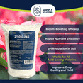 thumbnail image 2 of Supply Solutions Ammonium Sulfate Plant Food - Ideal for Winter Fertilizer - for Deep Green Plants Acid Loving Plants (50 Pounds), 2 of 9