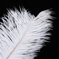 thumbnail image 1 of Pluma Para Firmar, Bolígrafo De Plumas, Las Líneas De Caligrafía Aparecen Más Claras Para Amigos Para Bodas, Reuniones Y Oficinas, 1 of 7