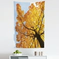 thumbnail image 1 of Tree Tapestry, Autumn Maple Tree from Bottom to Top View Environment Flora Season November Print, Fabric Wall Hanging Decor for Bedroom Living Room Dorm, 5 Sizes, Orange Blue, by Ambesonne, 1 of 1