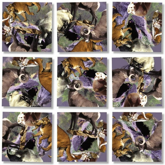 Scramble Squares Rocky Mountain Wildlife 9 Pc Non Interlocking Brain Teaser Puzzles