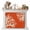 Orange, variant on Coral Sage Green Magnetic Fireplace Cover,Fireplace Draft Blocker,Coastal White Ocean Marine Nautical Beach Fireplaces Blanket for Heat Loss/Cold Air,Fireplaces Draft Stopper Cover for Inside 36"x27"