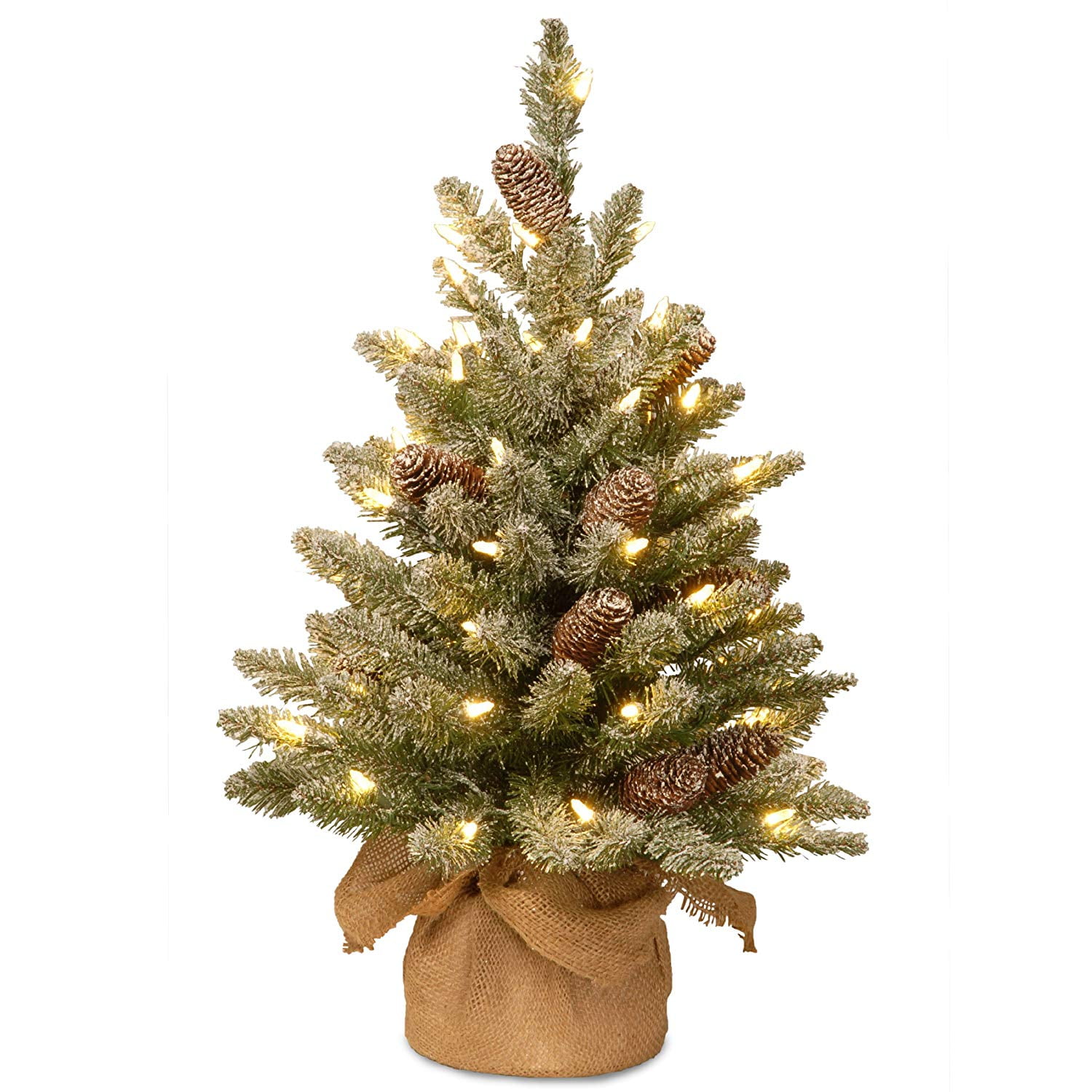 2' x 16” Prelit Snowy Concolor Fir Artificial Christmas Tree Clear
