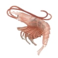 thumbnail image 2 of Modèle d'Animal Marin Solide Simulation Intelligence Jouets d'Apprentissage Animaux Roses Homard de Mer, 2 of 9