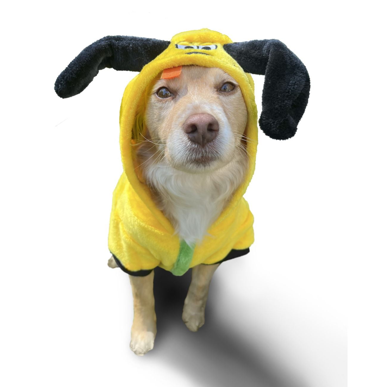 Pluto costume for clearance dogs