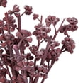 thumbnail image 2 of Vickerman Natural Botanicals 13" x 1-3" Red Gum Branch Red Frosted, 14 stems per unit, 2 of 5