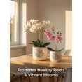 thumbnail image 2 of BUYMAX 5+6 inch White Ceramic Orchid Pot with Holes, Indoor/Outdoor Plant Pot with Drainage Holes and Tray, Promotes Air Circulation, 2 of 8