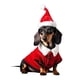 thumbnail image 2 of Adorno Plano de Perro Salchicha, Adorno Navideño Original, Ligero y Fácil de Colgar, Materiales Duraderos, Decoración Festiva para El Hogar, Regalo para Amantes de Los Perros, Diseño Navideño Único., 2 of 7