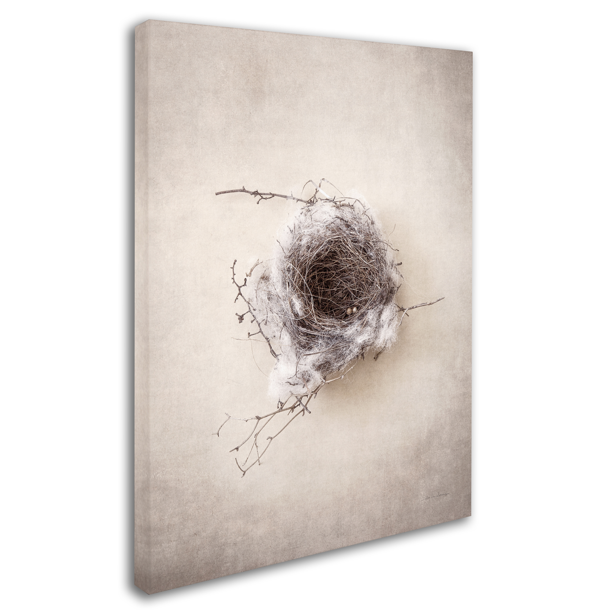 Trademark Fine Art 'Nest III' Canvas Art by Debra Van Swearingen