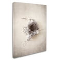thumbnail image 2 of Trademark Fine Art 'Nest III' Canvas Art by Debra Van Swearingen, 2 of 3