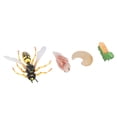 thumbnail image 2 of Wasp Bee Growth Cycle Model,  Early Educational Colorful Lifelike Wasp Growth Cycle Figures  For Kids Gifts, 2 of 8