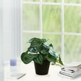 thumbnail image 3 of Ersvoioy Clearance On Sale Simulation Alocasia Macrorrhizos Pot Artificial Plants Potted Faux Plant Greenery Aesthetic House Plants for Home, office, and Garden Decor Table Shelf Desk, 3 of 6
