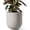 Neutral Gray, variant on Plant Pot, Ceramic Pots for Plants with Drainage Hole and Rubber Plug, Plant Pots Indoor for Home Garden Patio Office, Cylinder Flower Planter Pot