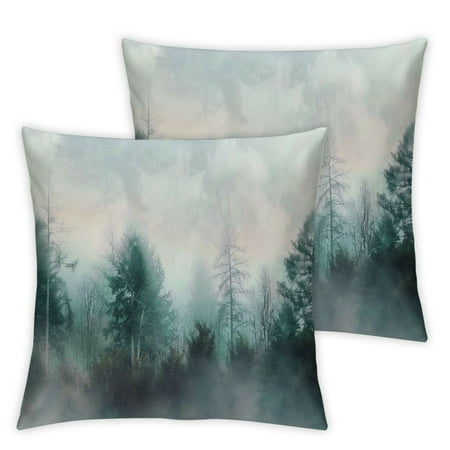 

QCPP Misty Woods Tree Foggy Mountain Nature Smokey Short Plush Pillow Case Aesthetic Decorative Set of 2 18x18in