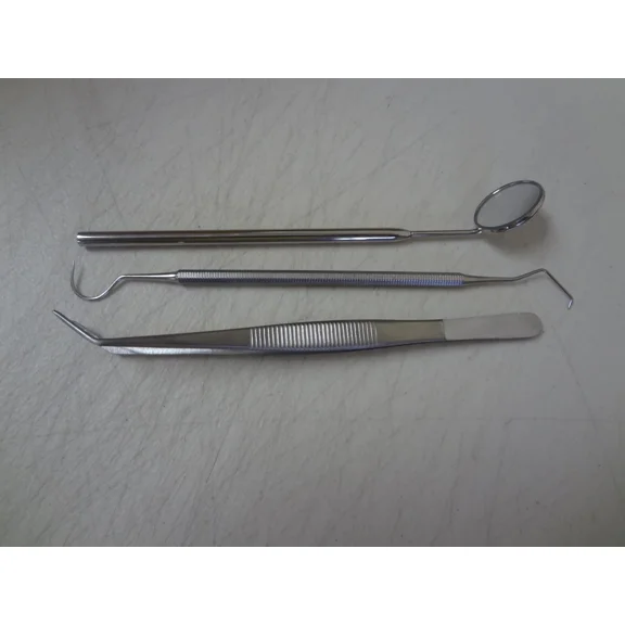 Dental Tartar Calculus Plaque Remover, Tooth Scraper, Dental Mirror & Scaler Set