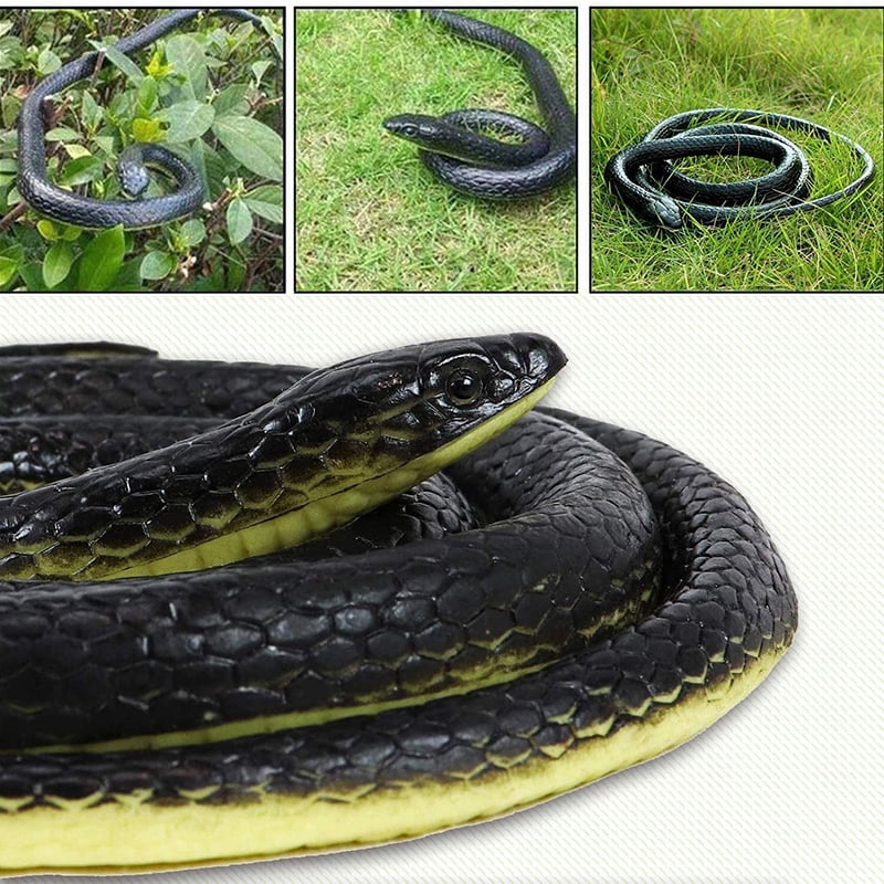 Details about   Realistic Fake Rubber Toy Snake Black Fake Snakes April Fools' Day Prank Present