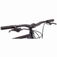 SCHWINN 29