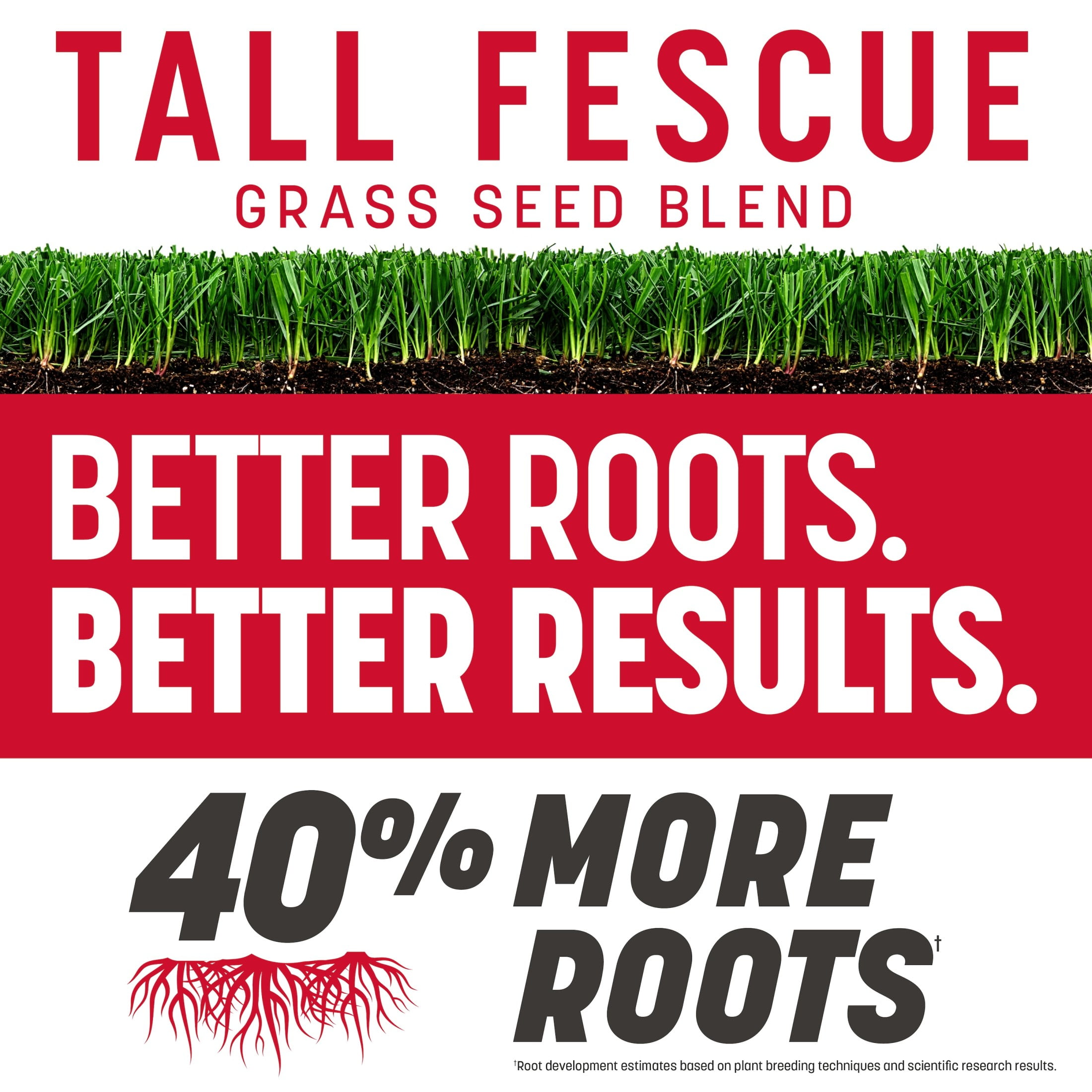 Pennington Rebels Tall Fescue Grass Seeds for Lawn, for Sun to Partial Shade, 20 lb