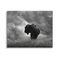 Stupell Industries Ox in Cloudy Landscape Animals & Insects Photography Gallery Wrapped Canvas Art Print Wall Art, 20 x 16