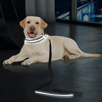 Luxtrada LED Dog Leash Light Up Dog Leash Micro USB Rechargeable Waterproof Nylon Webbing Glow Safety Standard Dog Leash for Dogs (Black)