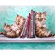 thumbnail image 2 of Cuadros Decorativos Cat 5D DIY Kits de pintura de diamantes Resina Full Round Home Wall Art. Gato Likrtyny embutido en tela, 2 of 9