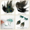 thumbnail image 4 of Peacock Feather Jewelry Set for Women, Green Fascinator Feather Clip Earring Big Eyelashes and Glitter Face Jewels Makeup Stickers for Halloween Carnival Festival Party Hair Face Decorations, 4 of 7