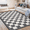 Black, variant on Checkered Rug Carpet 3x5Ft Modern Abstract Zebra Buffalo Plaid Bedroom Area Rug, Chic Stripe and Checkerboard, Farmhouse Living Room Office Indoor Home Decor, Soft Nonslip Washable, Green
