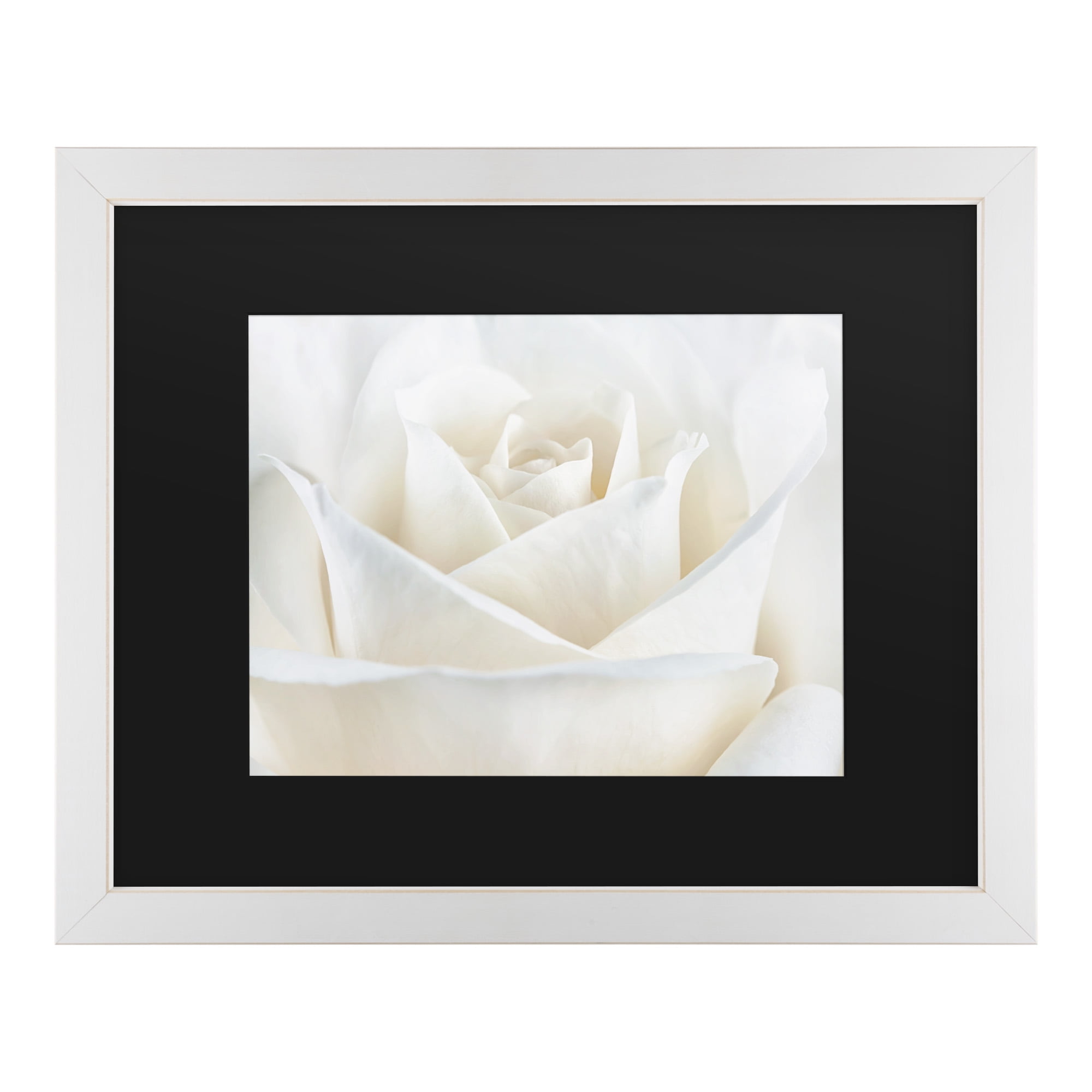 Trademark Fine Art 'Pure White Rose' Canvas Art by Cora Niele - Walmart.com