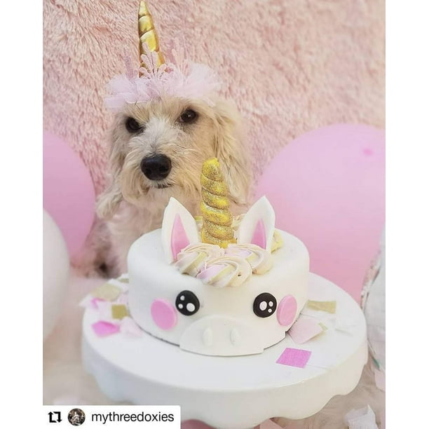 Handmade Dog Cakes Dog Birthday Cakes Cat Birthday Cakes