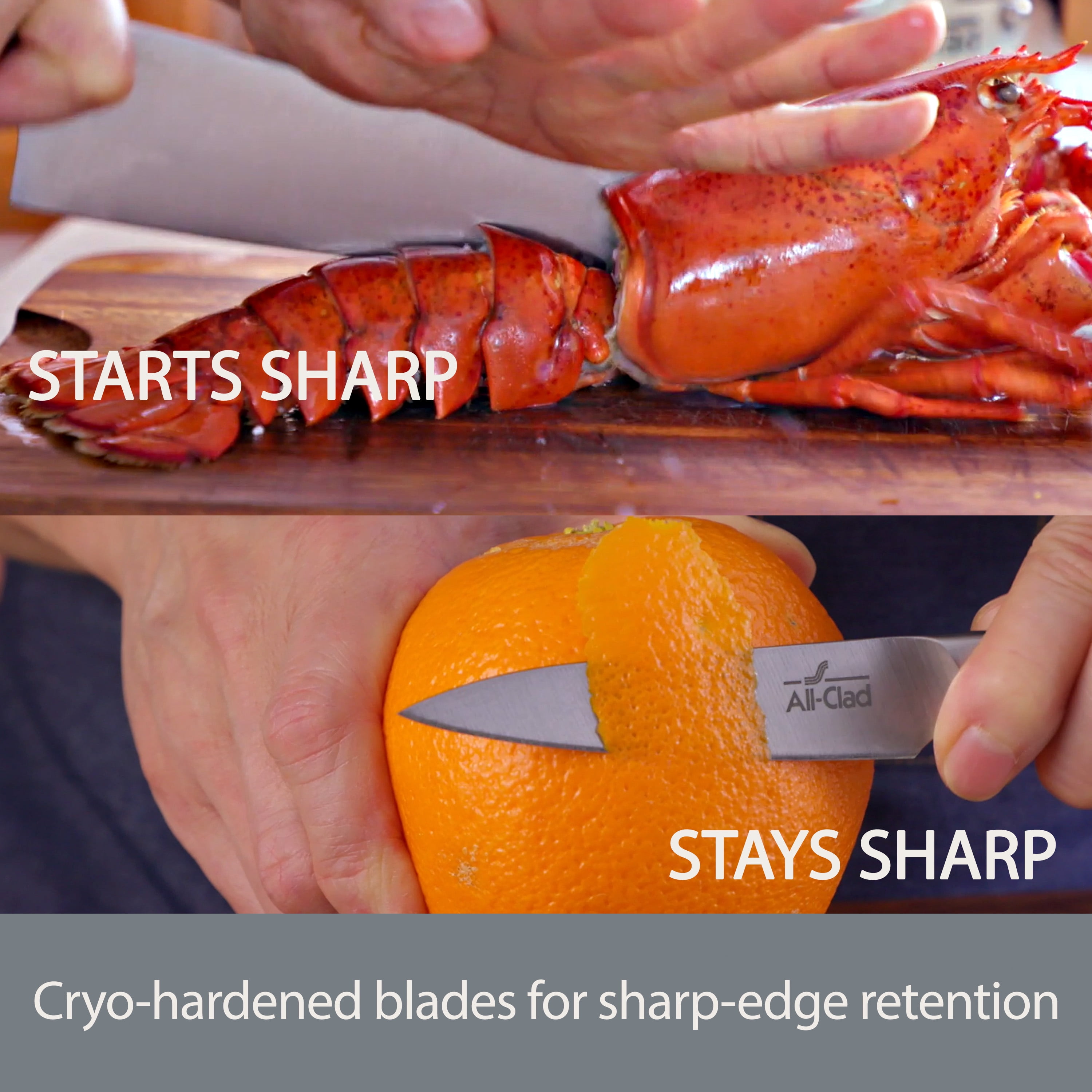 All-Clad Forged Knives Carving Set, 8 inch Knife & 6 inch Fork
