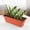 Red, variant on Window Box Planter, Plastic Vegetable Flower Planters Boxes 14 Inches Rectangular Flower Pots with Saucers for Indoor Outdoor Garden, Patio, Home Decor(Green)
