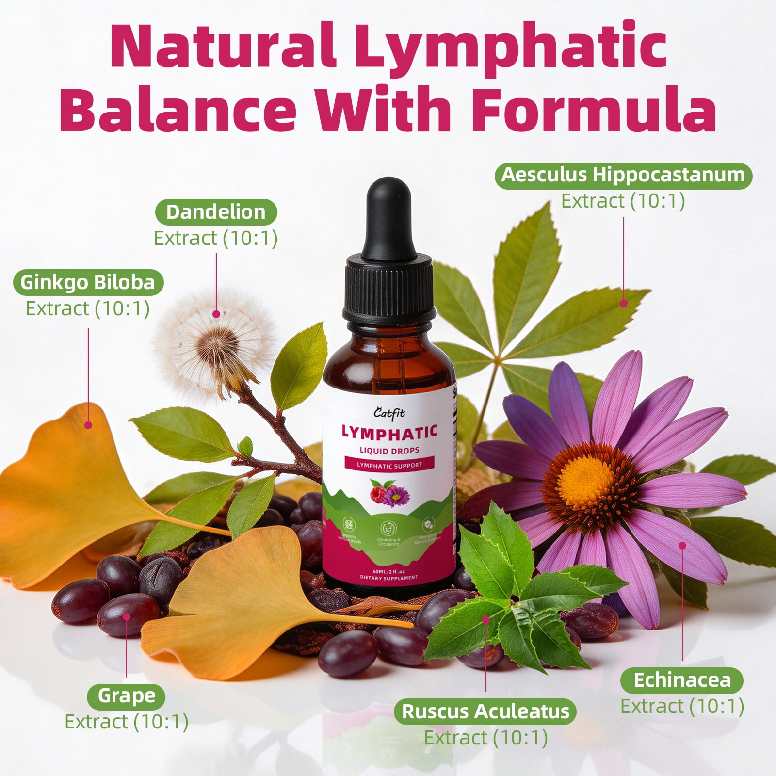 Lymphatic Drainage Liquid Drops, 11-In-1 with Echinacea, Elderberry, Red Clover for Lymph System & Immune Support, 2 fl oz