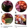 thumbnail image 3 of Designart "Vibrant Field of Colorful Zinnias" Floral Wall Art Prints Set, 3 of 5