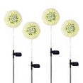 thumbnail image 1 of Solar Lights Outdoor Decorative, 4 Pack Solar Dandelion Garden Lights,,orange, 1 of 5