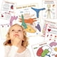 thumbnail image 2 of Human Anatomy Busy Book Kids A4 Anatomy Learning Binder Early Educational Preschool Curriculum & Homeschooling, 2 of 5