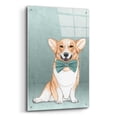 thumbnail image 2 of Epic Art 'Corgi Dog' by Barruf Acrylic Glass Wall Art, 24"x36", 2 of 8