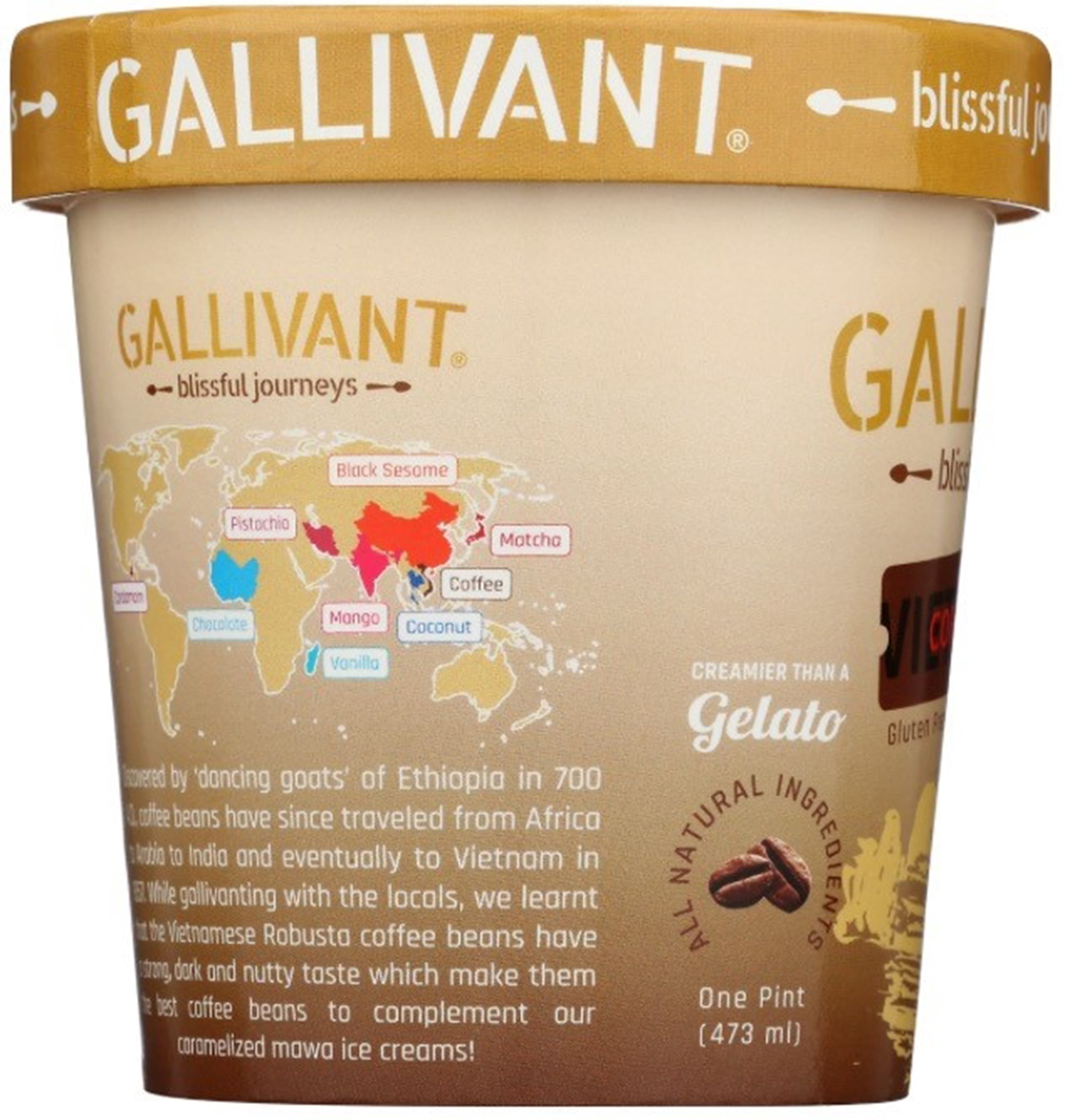 Vietnamese Coffee Mawa Ice Cream