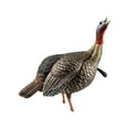 thumbnail image 5 of Avian-X HDR Jake Turkey Decoy - Realistic and Durable Hunting Decoy with Removable Heads, 5 of 5