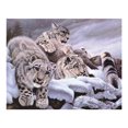 thumbnail image 1 of Diy 5d pintura diamante bordado animales cruz artesanía kit de costura tigre 2 Sunnimix Kits de pintura de diamante 5D, 1 of 8