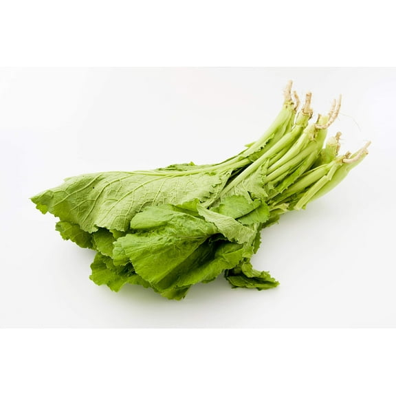 Florida Broadleaf Mustard Greens | 250  Seeds to Grow | Made in USA, Ships from Iowa.