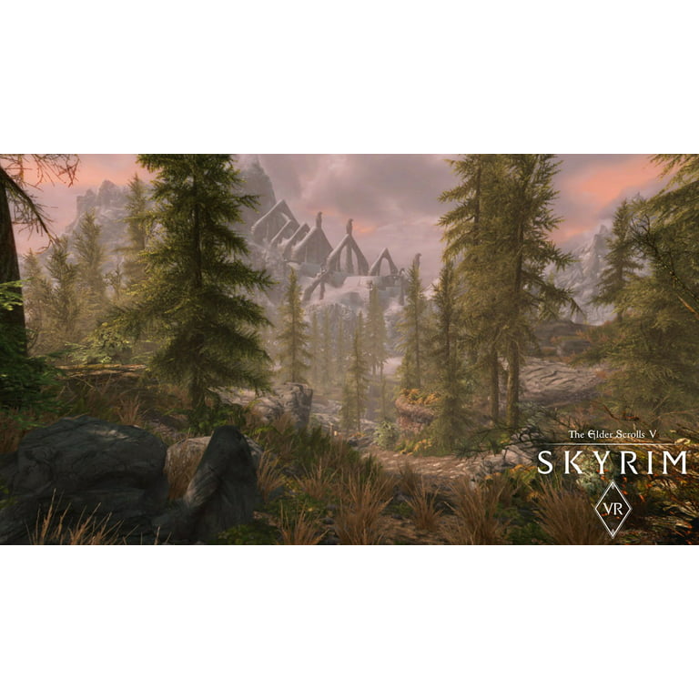 Bethesda Skyrim VR (PS4)