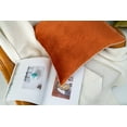 thumbnail image 2 of Gouchee Home Solid Velvet Coussin, 2 of 4