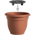 thumbnail image 4 of Bloem Ariana Resin Planter - Solid Print, Round, Indoor/Outdoor - 16", Green, 4 of 9