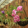thumbnail image 4 of 6 Inch Iron Metal Wall Hook Plant Hook Bracket - Black Set Of 2, 4 of 8