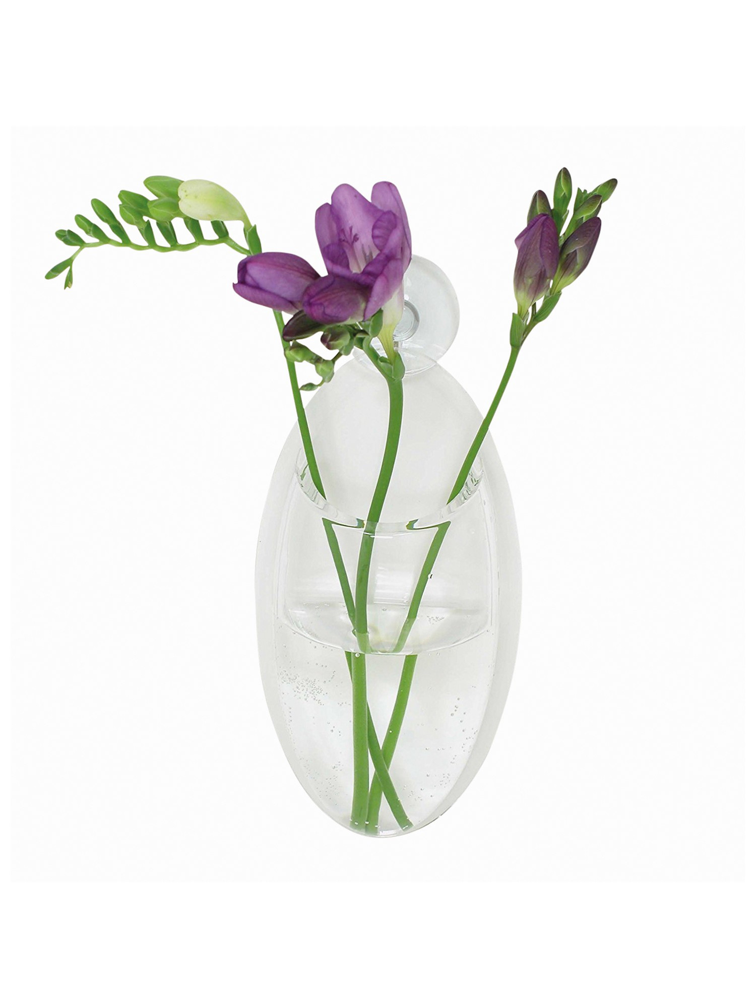 Clear Oval Window Bud Vase with Suction Cup Stick On Acrylic