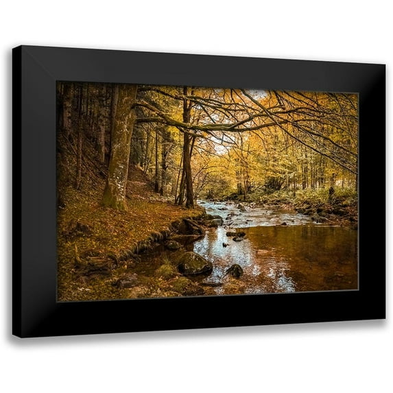 Murdock, Ramona 18x13 Black Modern Framed Museum Art Print Titled - Black Forest River