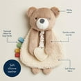 thumbnail image 4 of Itzy Ritzy Itzy Lovey Bear, 4 of 6
